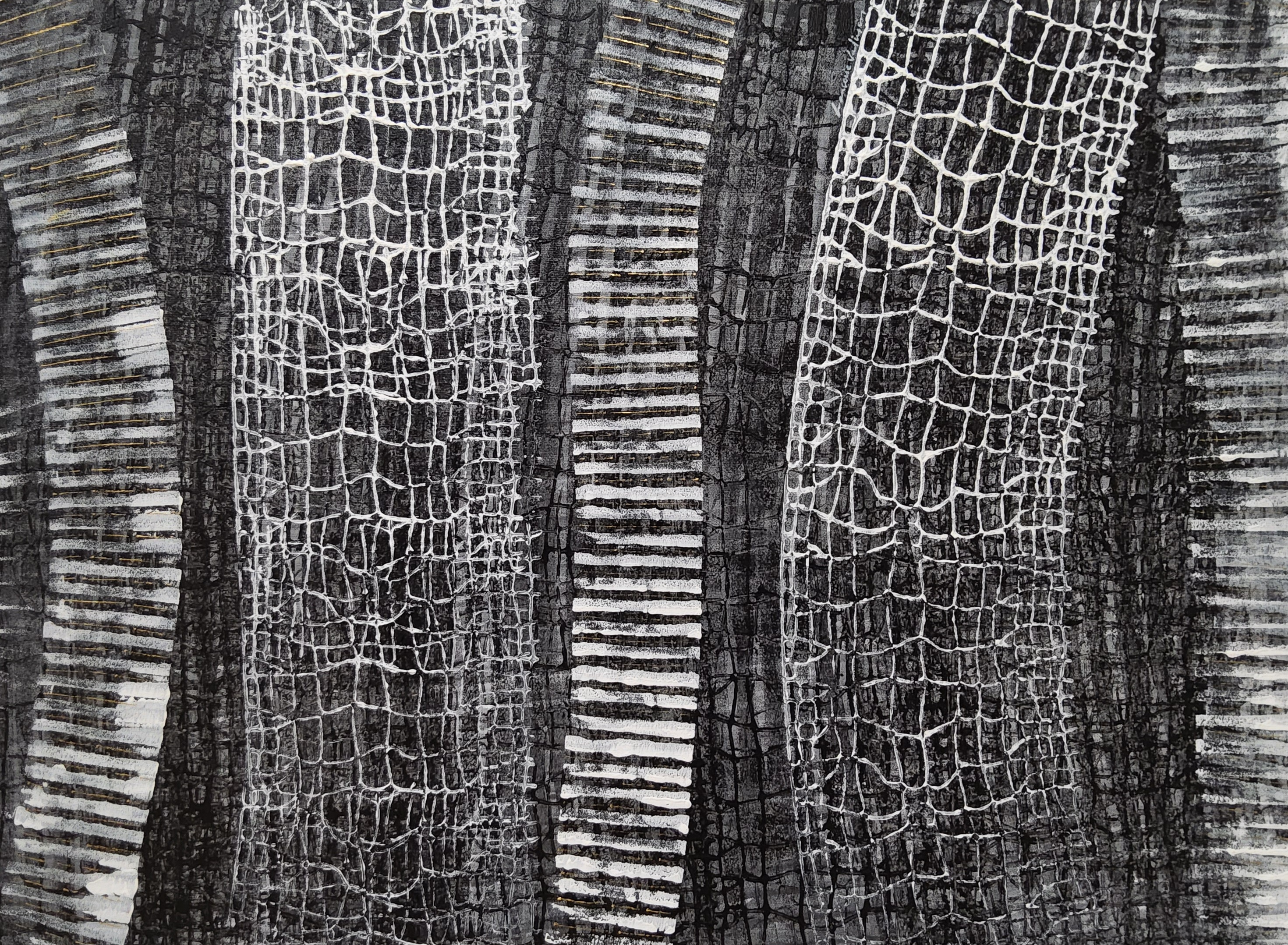 COLLECTION BLACK AND WHITE  001